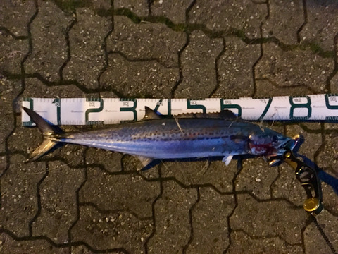 2016-12-31-06-34-28