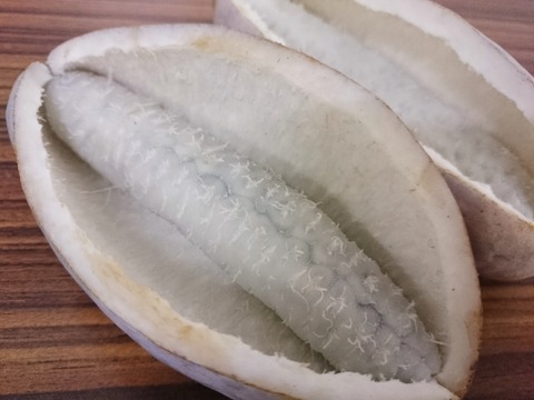 アケビ 旬縁館