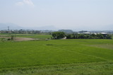 126a2652.JPG