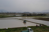 1f429867.JPG