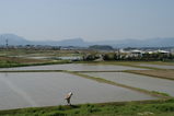 a256678c.JPG
