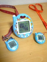 522c389a.JPG