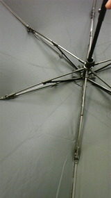 DVC00203