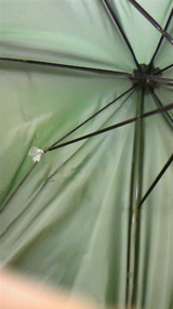 DVC00329