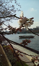 fd98be52.jpg
