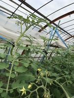 写真1 1008 IMG_0767