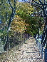 071f1c63.jpg