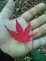 6f096fe7.jpg