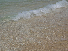 P1040839