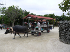 P1050168