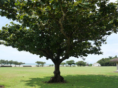 P1040793