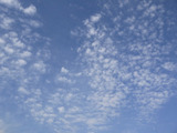 P1050684