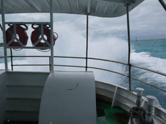 P1050240
