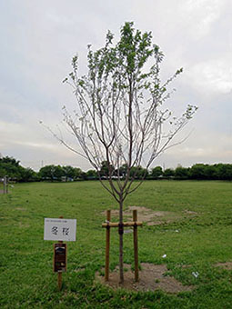 IMG_5497S