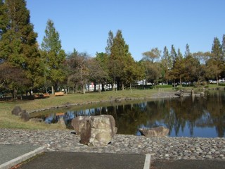 庄和総合公園