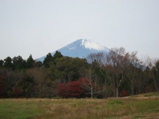 富士山