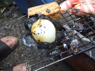 たまねぎ