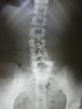 cc9de9d41