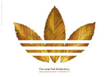 adidasfallcollection