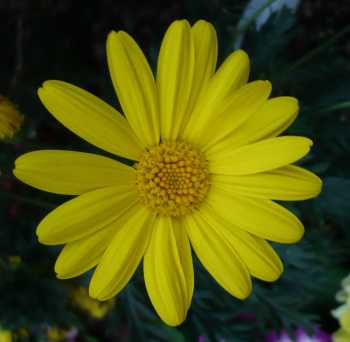 2008.1.12