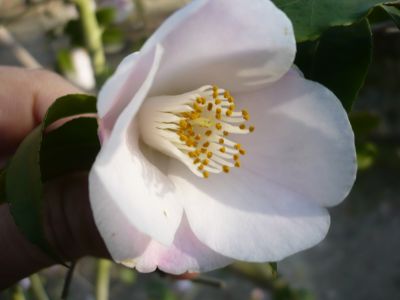 2012.1.6