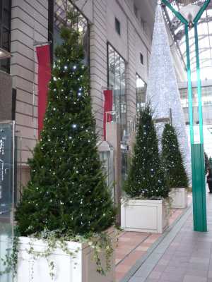 2007.12.8