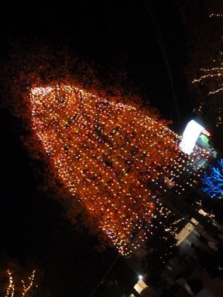 2012.1.12