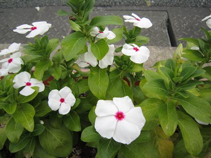 2012.8.20