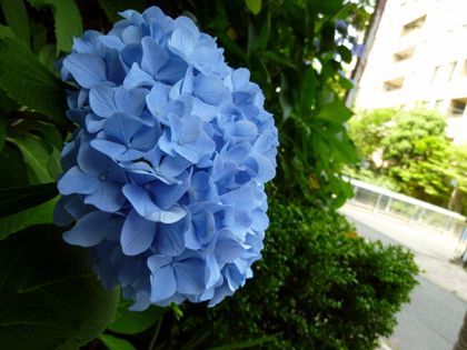 2012.6.16-2