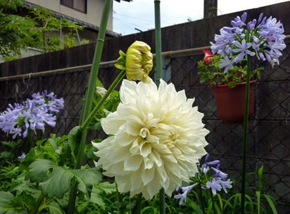2012.8.26