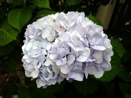 2012.6.17