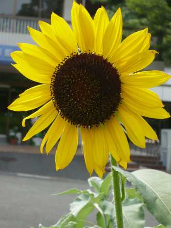 2008.9.16