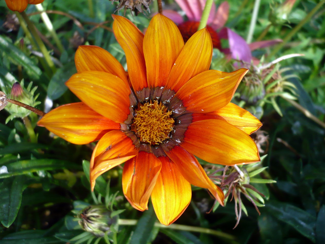 2010.9.13