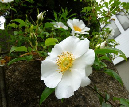 2012.8.6