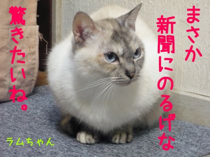 2012.2.10-3