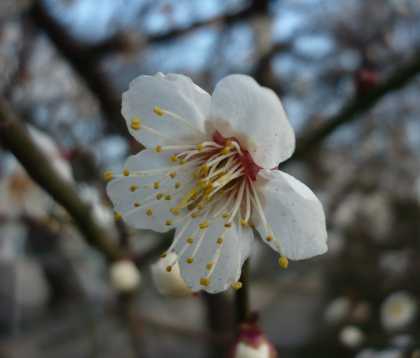 2008.2.19