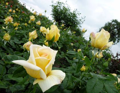 2012.5.3-2