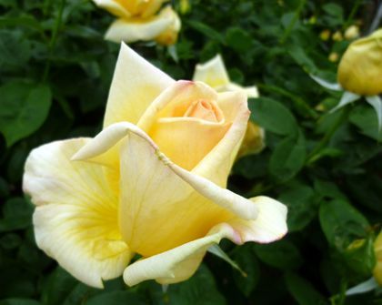 2012.5.5-2