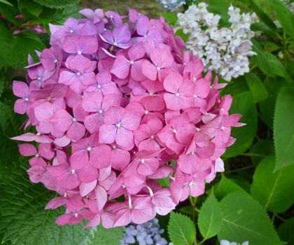 2012.7.3