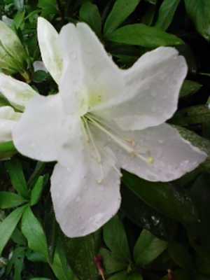 ¥æ¥ê¤Ë¤â¸«¤¨¤ëÇò¤Ä¤Ä¤¸