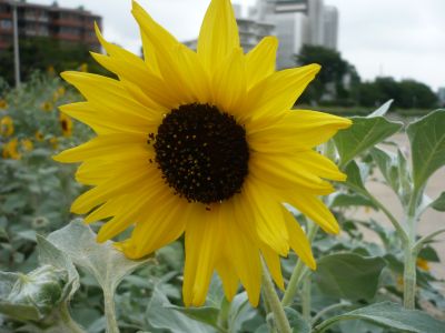 2010.3.6