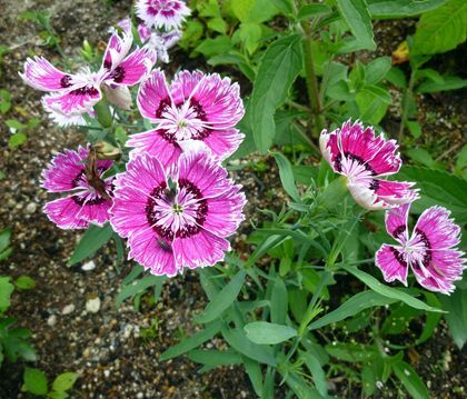 2012.8.9