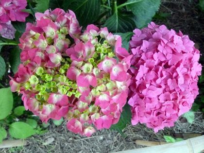 2011.7.1-2