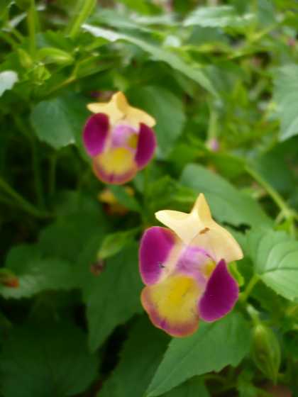 2008.9.13