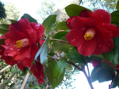 2011.12.25