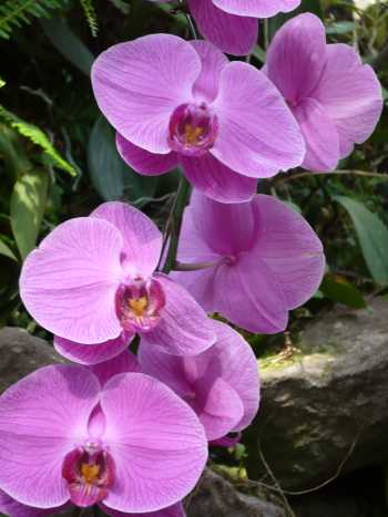 2008.10.6