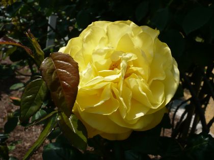 2012.2.1-2