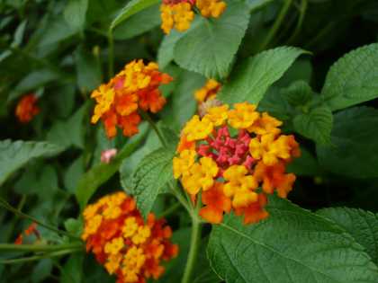 2008.9.11