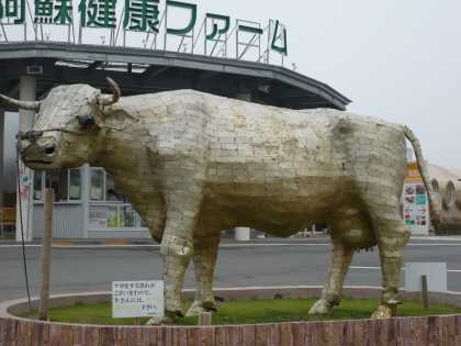 2008.阿蘇9