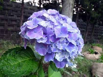 2011.6.30-2